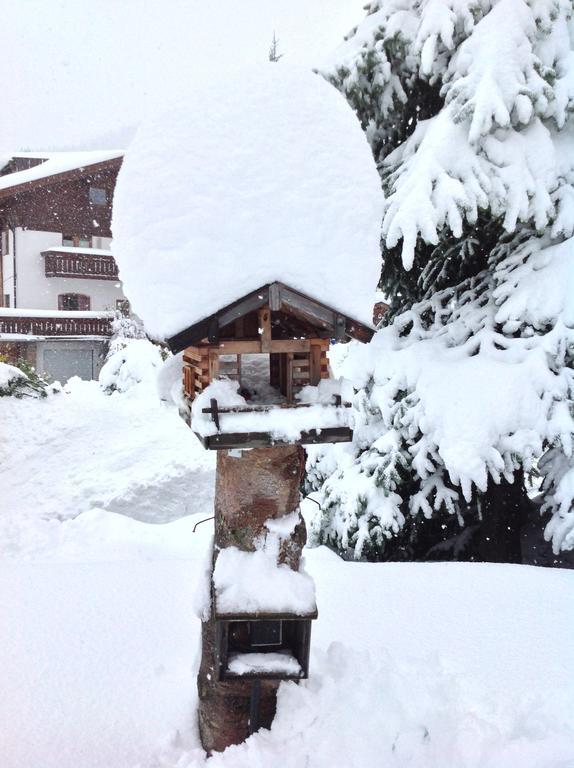 Haus Amann Daire Berwang Dış mekan fotoğraf